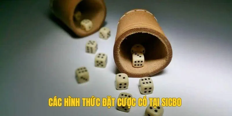 Các hình thức đặt cược có tại Sicbo Các hình thức đặt cược có tại Sicbo