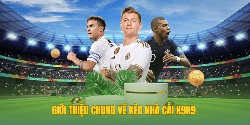 Giới thiệu chung về kèo nhà cái K9K9