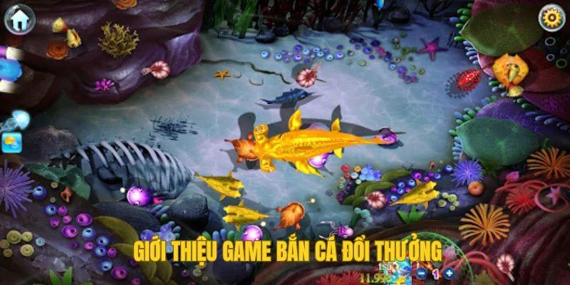 Giới thiệu game bắn cá đổi thưởng