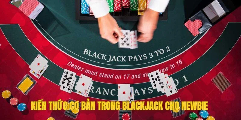 Kiến thức cơ bản trong Blackjack cho newbie Kiến thức cơ bản trong Blackjack cho newbie