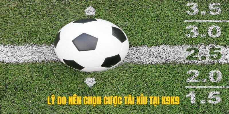 Lý do nên chọn cược tài xỉu tại K9K9 Lý do nên chọn cược tài xỉu tại K9K9