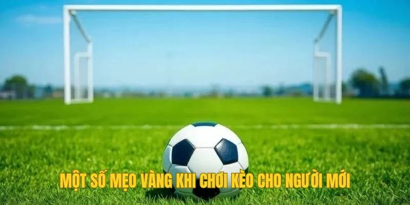 Một số mẹo vàng khi chơi kèo cho người mới Một số mẹo vàng khi chơi kèo cho người mới