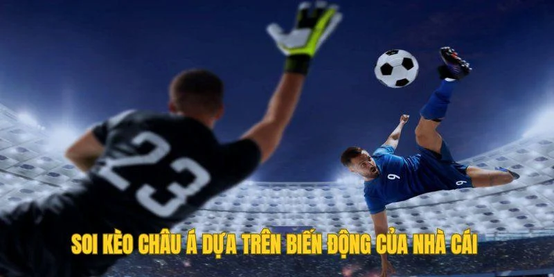 Soi kèo châu Á dựa trên biến động của nhà cái